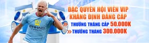 Giao diện hiện đại - Dễ sử dụng